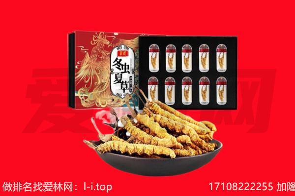 正蓝旗回收虫草.jpg